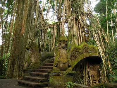 Ubud Monkey Forest, The Sacred Sanctuary, sanctuary, monkey, Bali island, family vacation, Indonesia's beautiful places