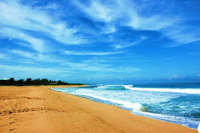 Pangumbahan Beach, Heaven For Green Sea Turtle In Sukabumi, green sea turtle, beach, family vacation