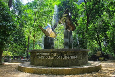 Bantimurung Bulusaraung National Park, The Land Of Butterflies, butterfly, natural butterfly, butterfly park, fun vacation. international trip, Indonesia trip