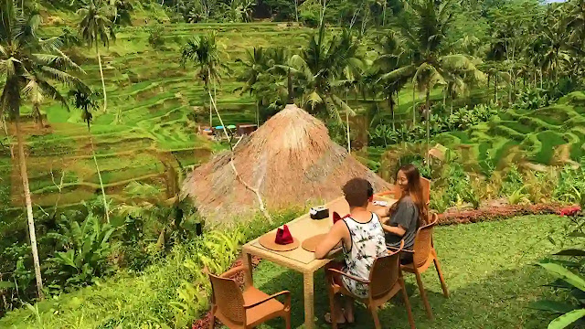 Restaurants with Field Rice View in Bali